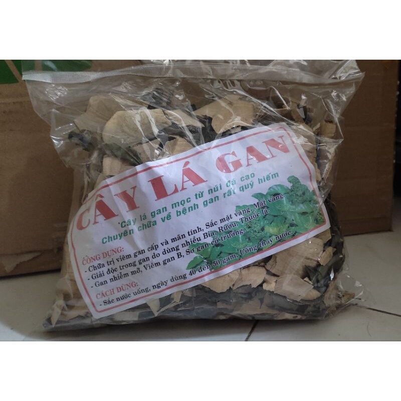 Cây lá gan đặc sản tây bắc