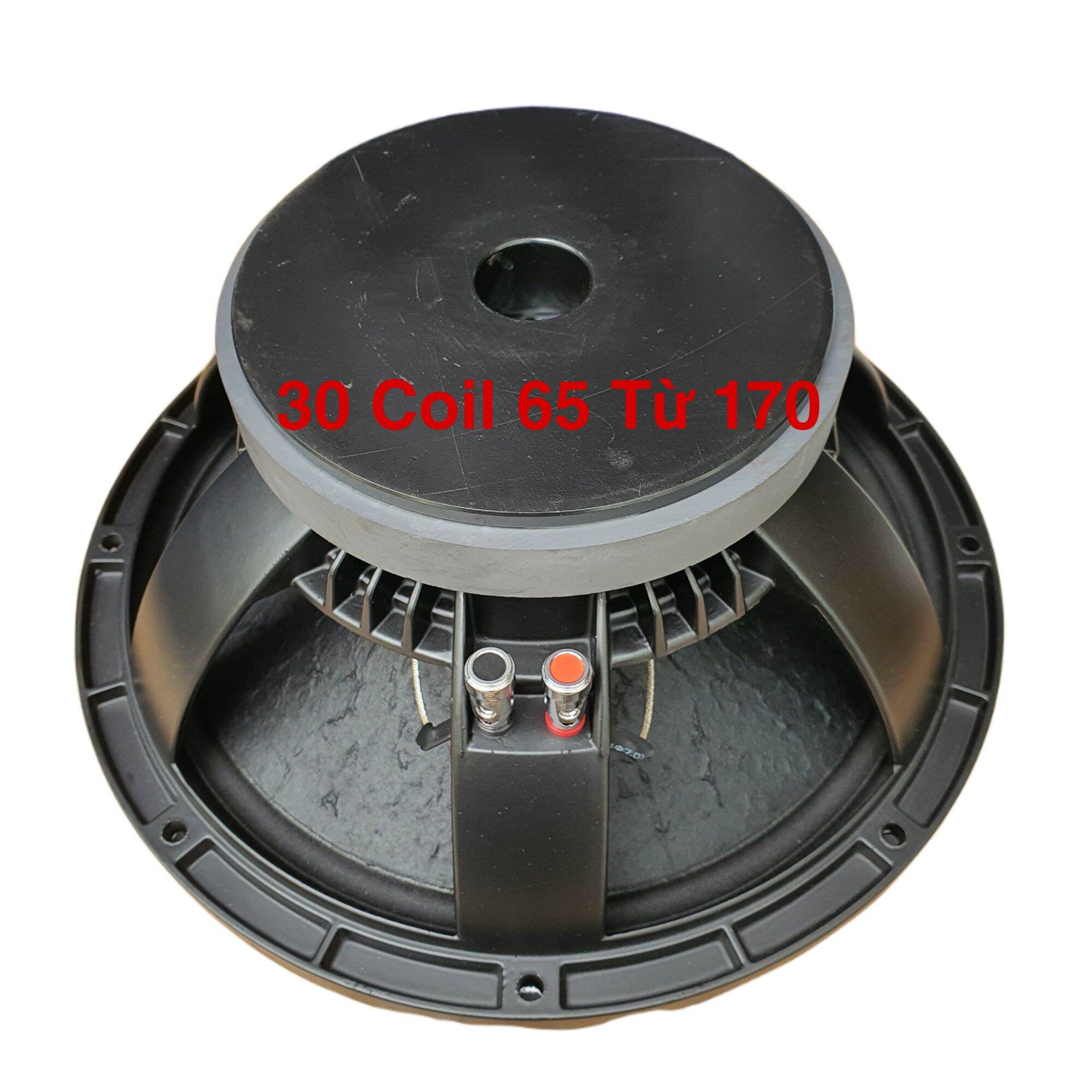 Bass 30 coil 65 từ 170 sườn đúc 1265