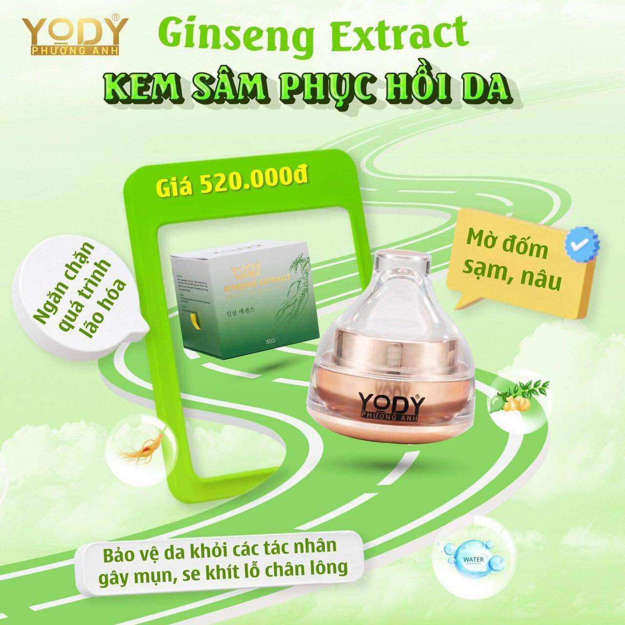 Kem Sâm Nhung Phục hồi da -GINSENG FACE CREAM -Yody tomorrow