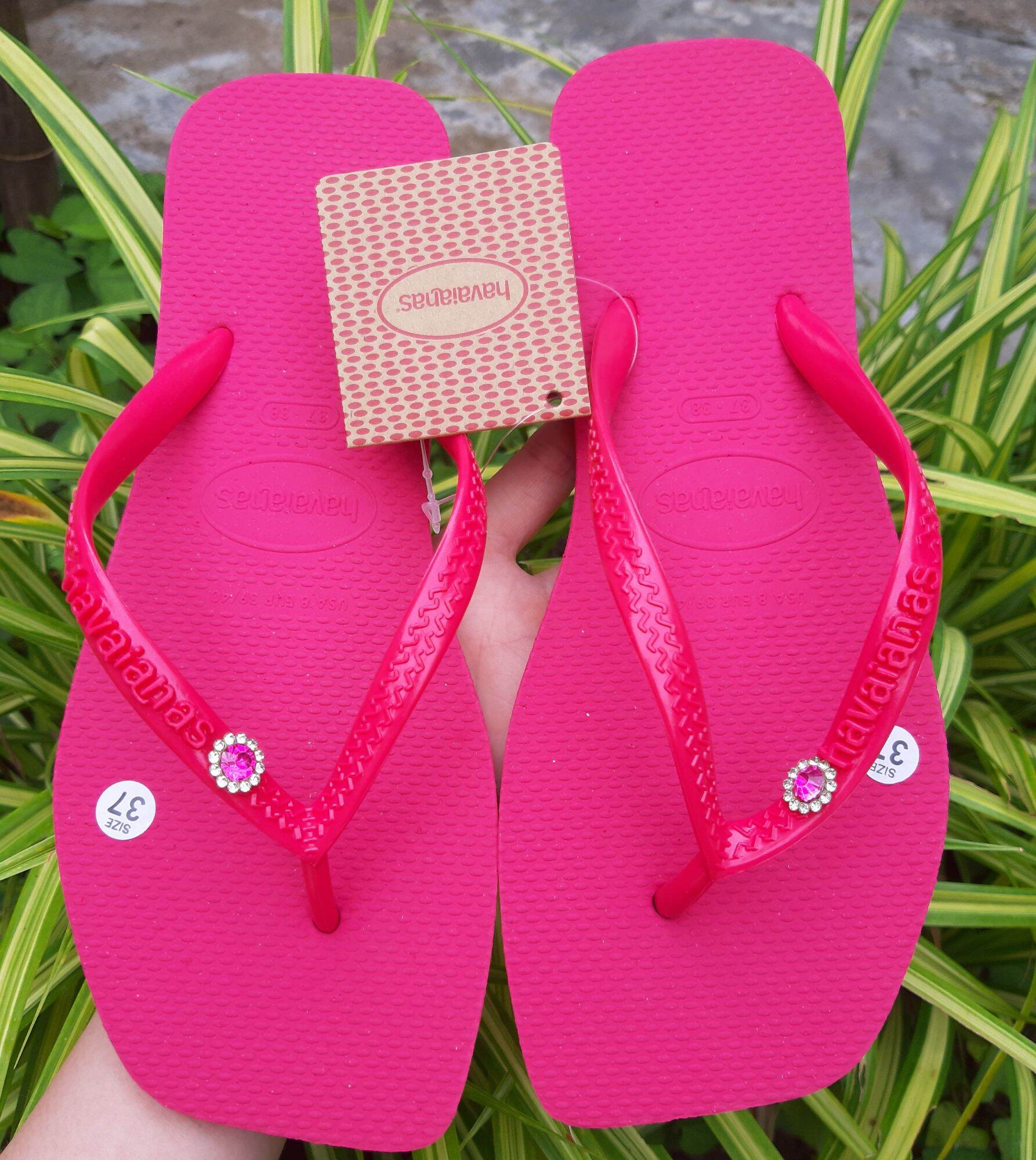 🔥freeship🔥havaianas - dép nữ mũi vuông