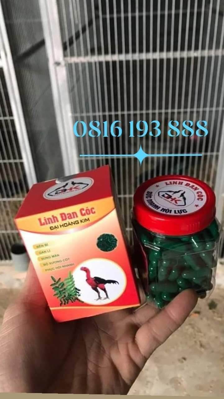 Linh đan cóc đại hoàng kim