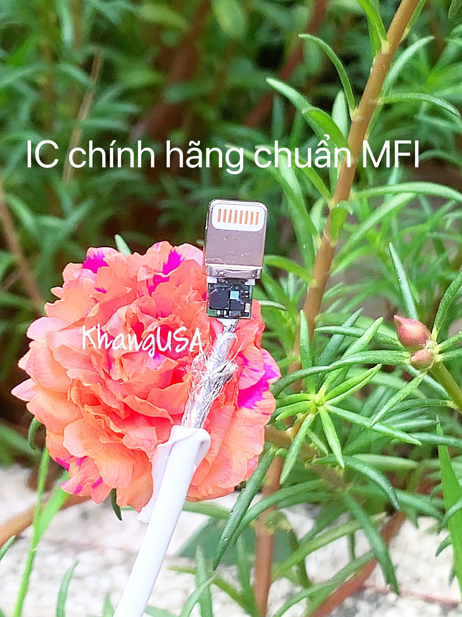 Cáp IHope A to lightning 19cm chuẩn MFI