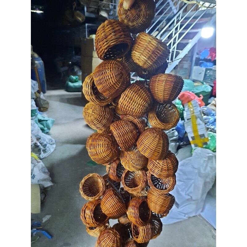 Giỏ thóc cu gáy