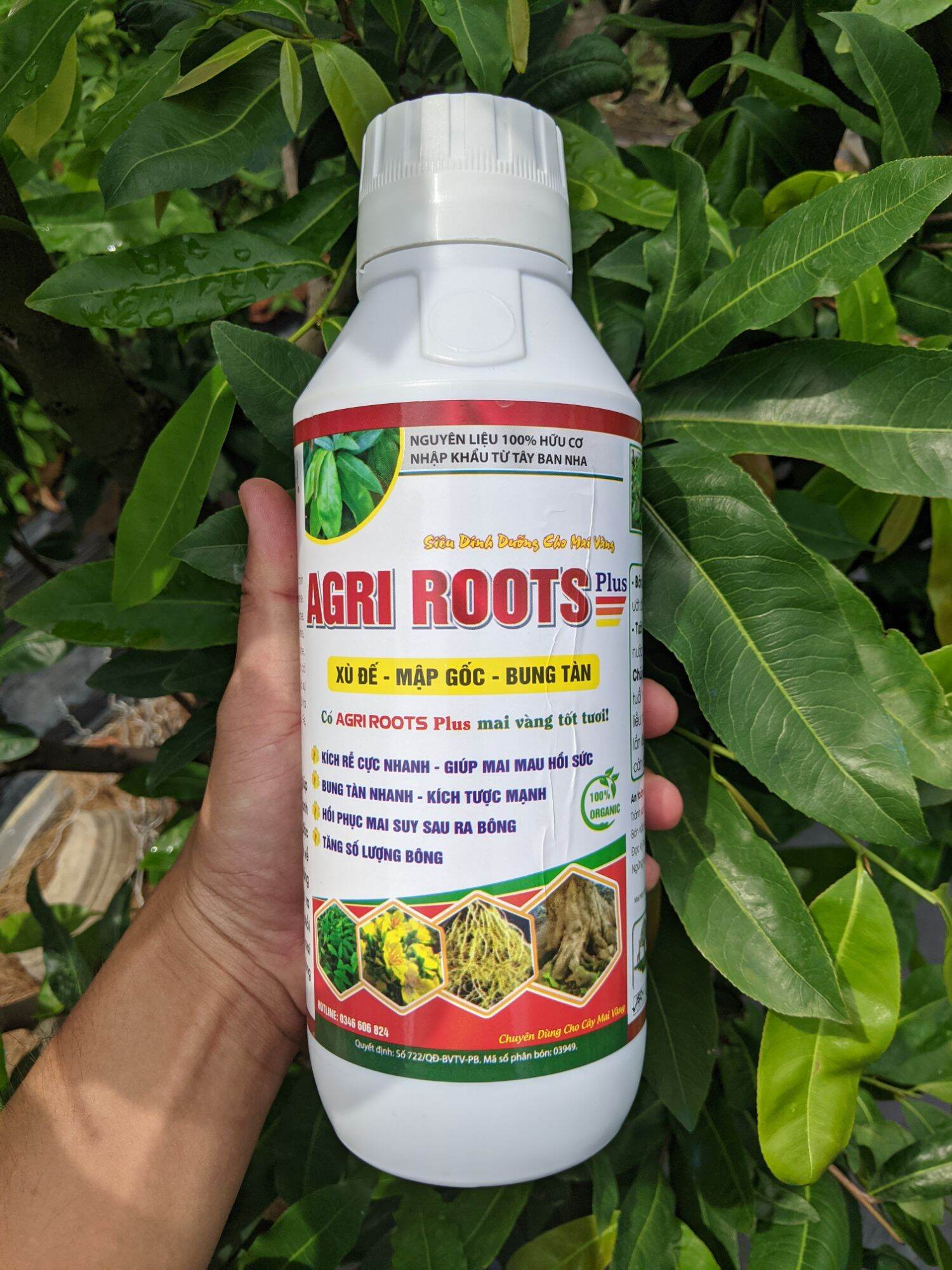 Agri Roots Plus phân bón siêu kích rễ - bung tàn - mập thân chai 1 lít