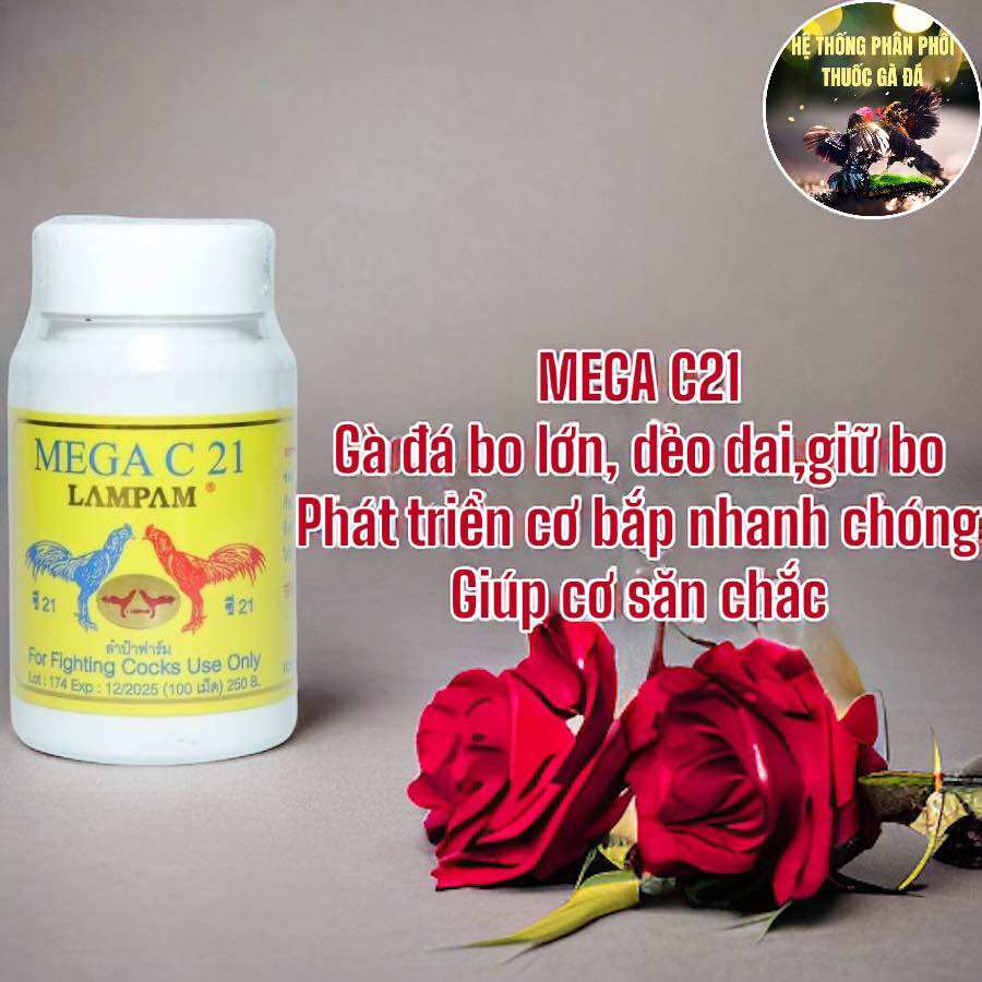 Thuốc gà đá mega c21 tăng lực, tăng bo dẻo dai cho chiến kê lọ 100 viên