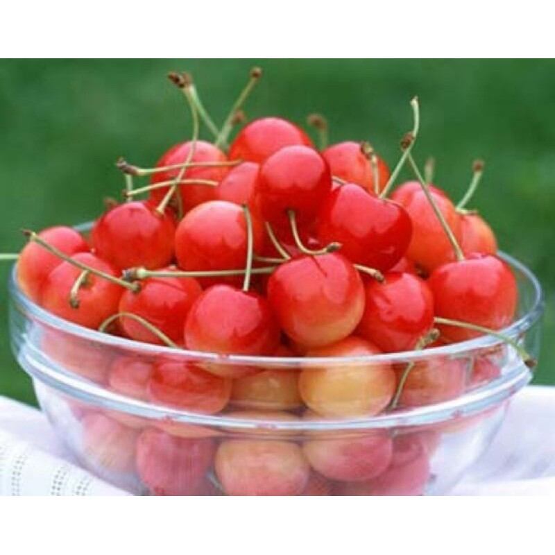 Mứt sơ ri loại ngon, quả to dùng ăn liền, mix chè