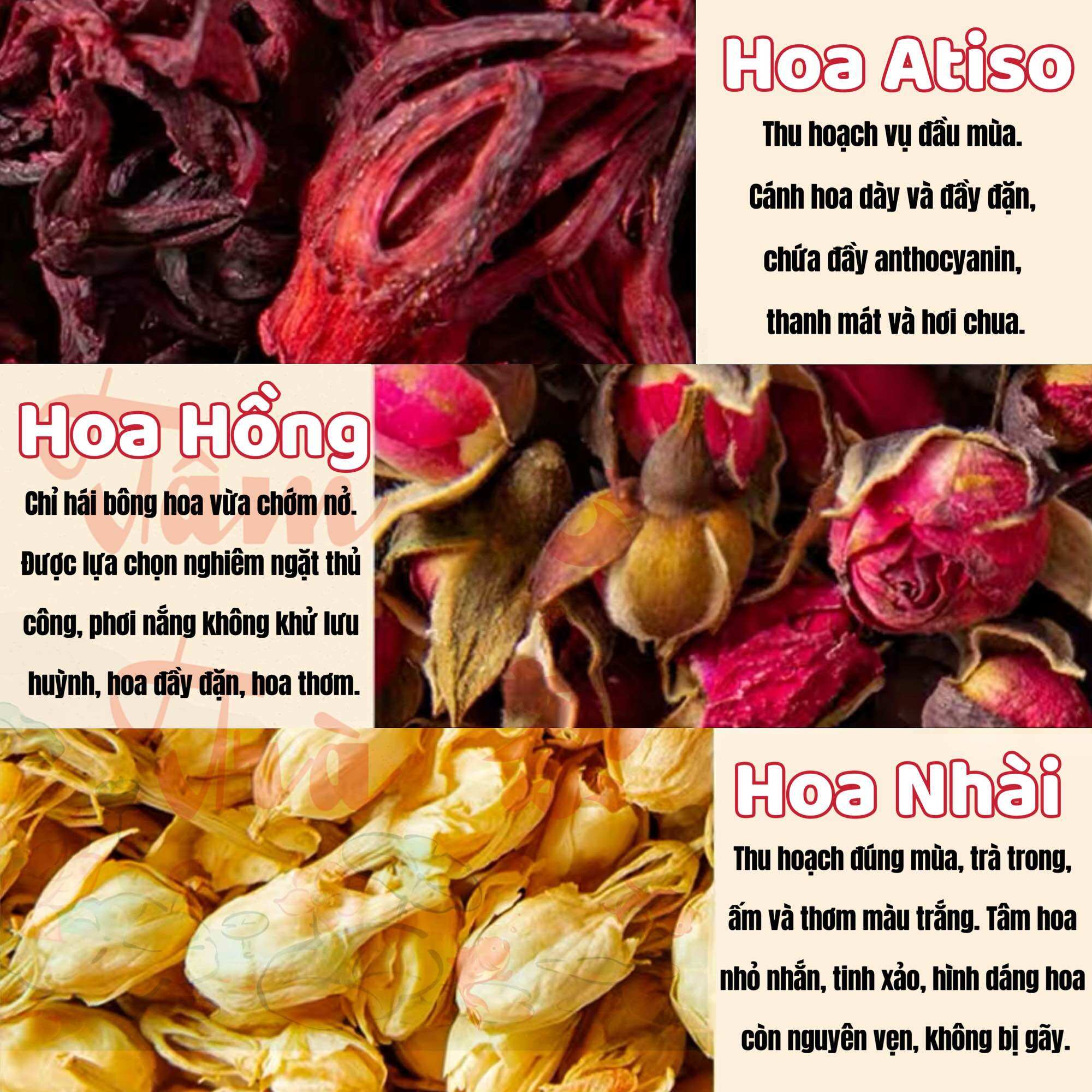 🍵 Tam Hoa Trà 💐 Trà Thảo Mộc