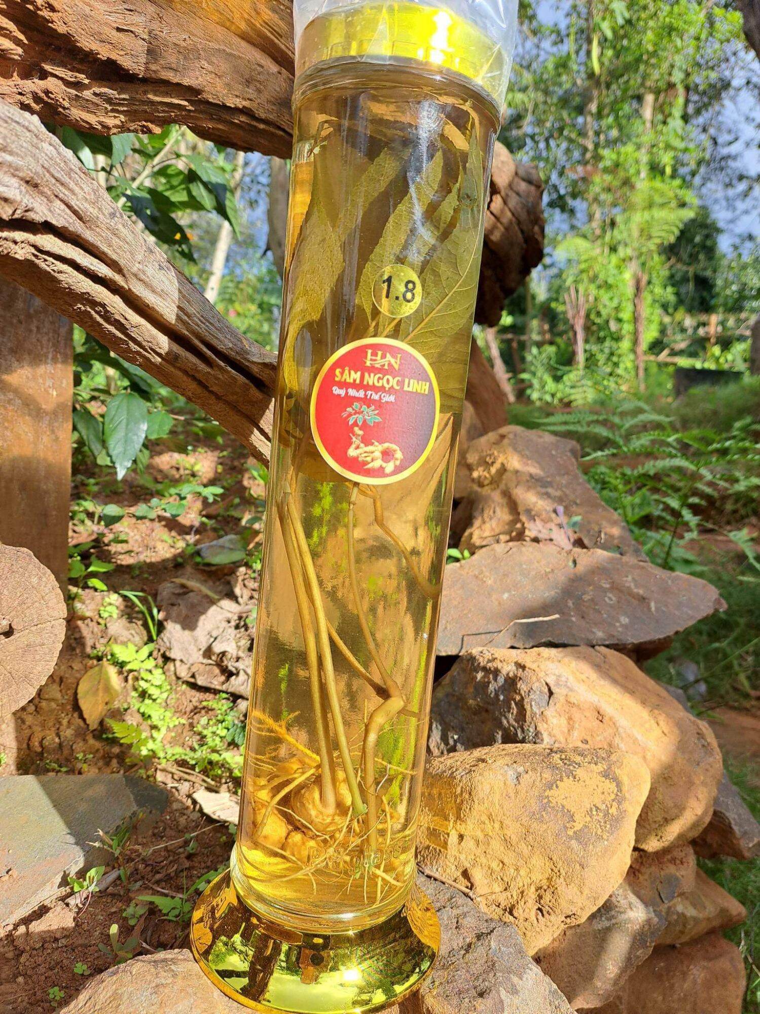 rượu sâm ngọc linh bình 1,8 lít