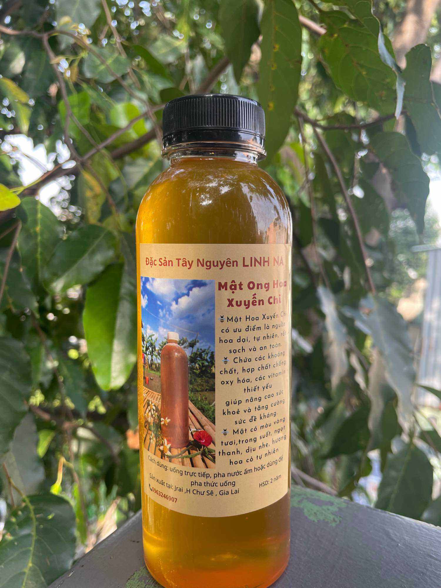 Mật Ong Hoa Xuyến Chi Nguyên Chất - Mật Ong Hoa Rừng Chai 500ml Đặc sản Tây Nguyên