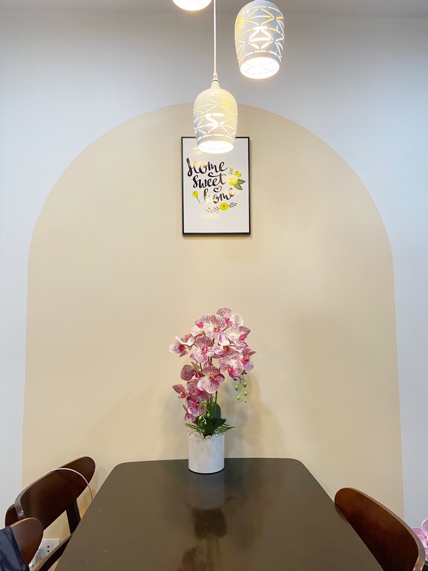 Combo hoa lan cao su + chậu + sỏi y hình - hoa lụa decor