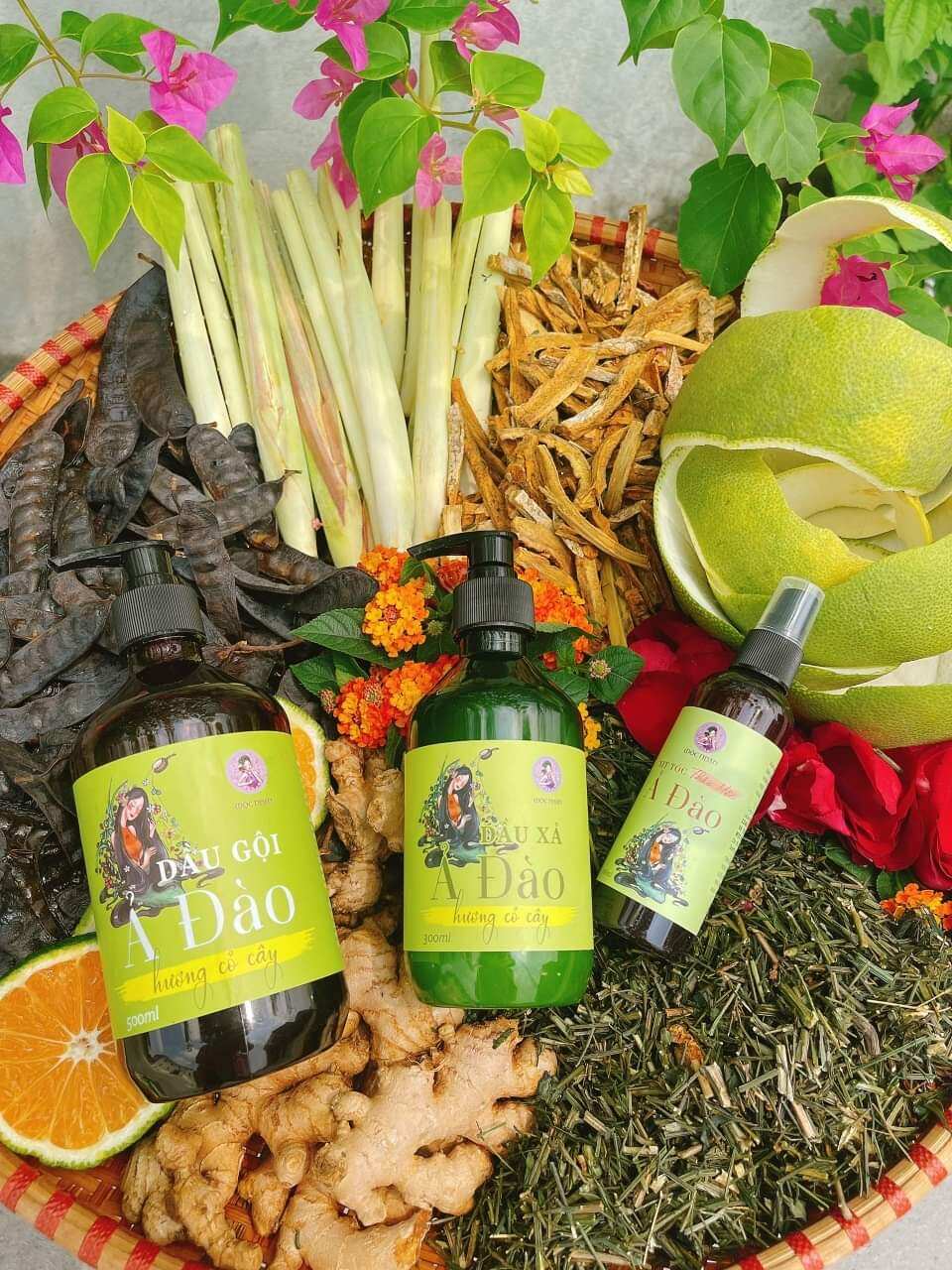 Dầu Gội Bồ Kết Thảo Dược Ả Đào Mộc Nhan Natural