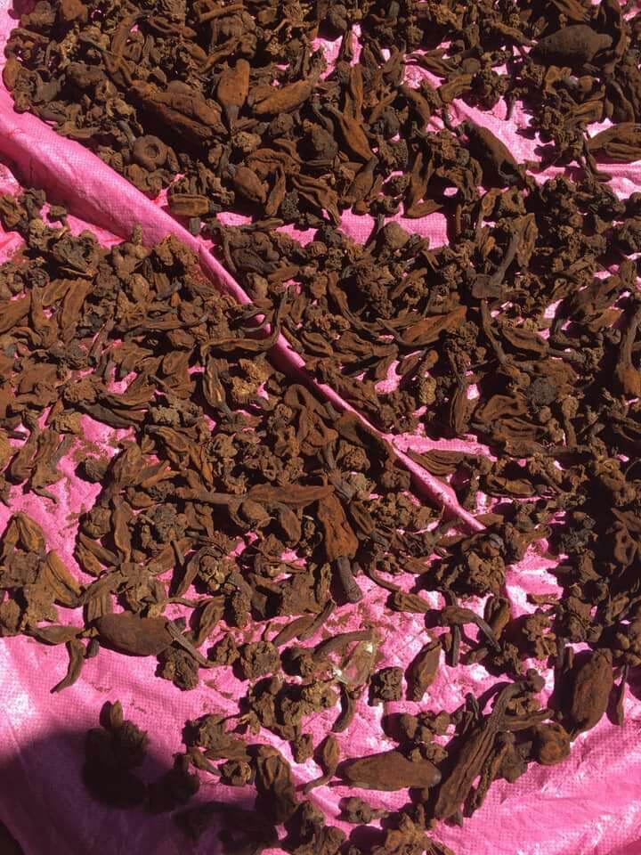 500g nấm ngọc cẩu khô