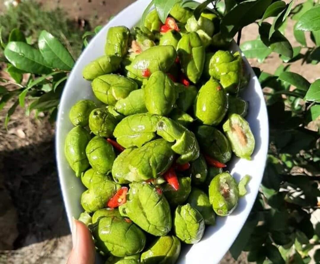 cà na thái đập dập muối ớt nhà làm, hút chân không túi 1kg ship xa