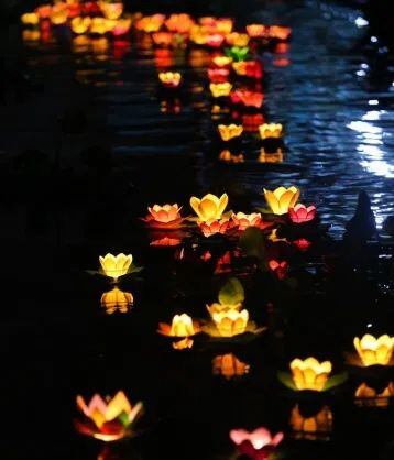 (Combo 14 viên)Nến Tealight Hoa Mai cháy 2 giờ 7 sắc màu