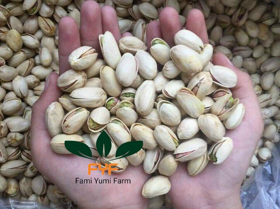 Hạt dẻ cười nhập khẩu không tẩy trắng Pistachios.