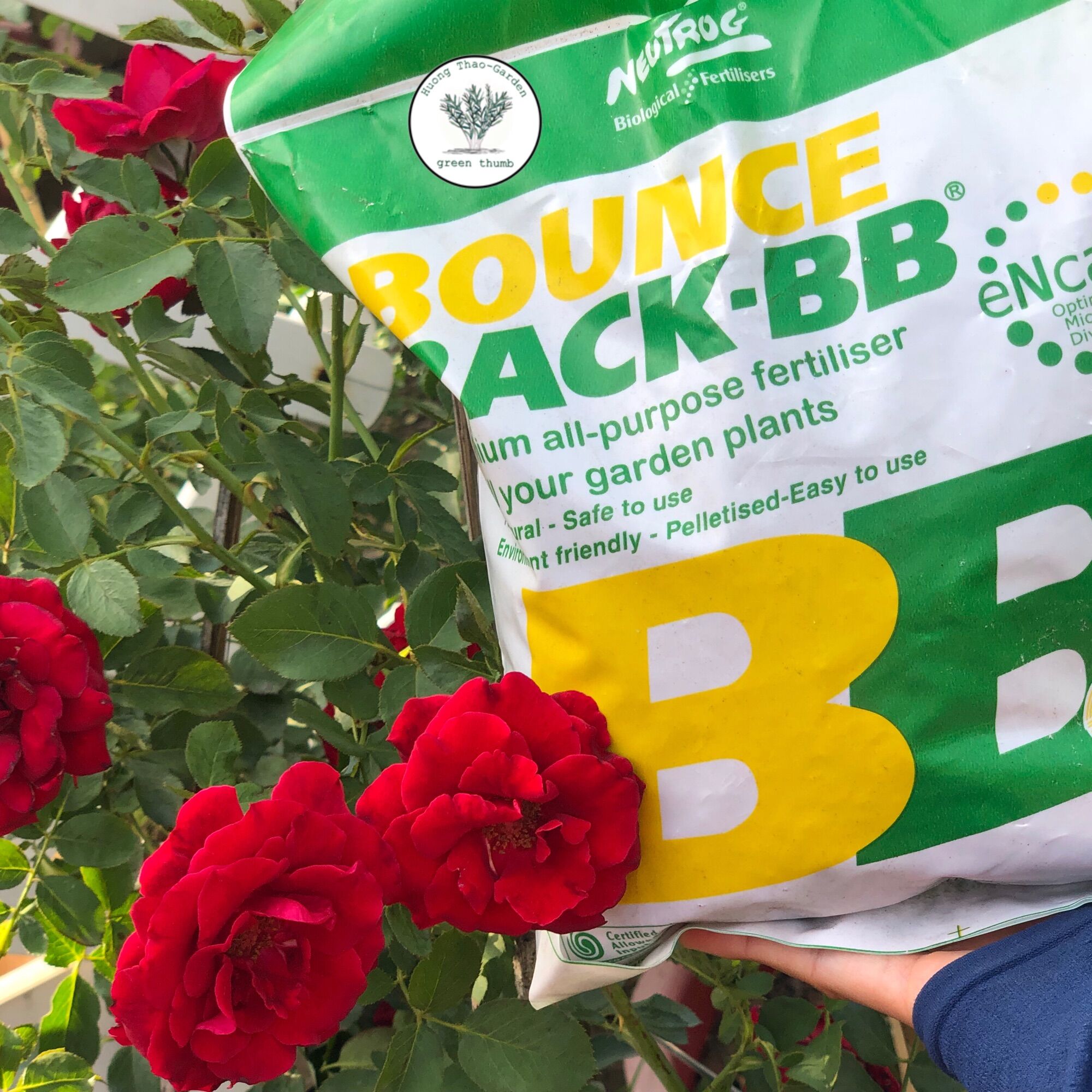 Túi 1kg Phân Hữu Cơ Đậm Đặc Úc - Bounce Back