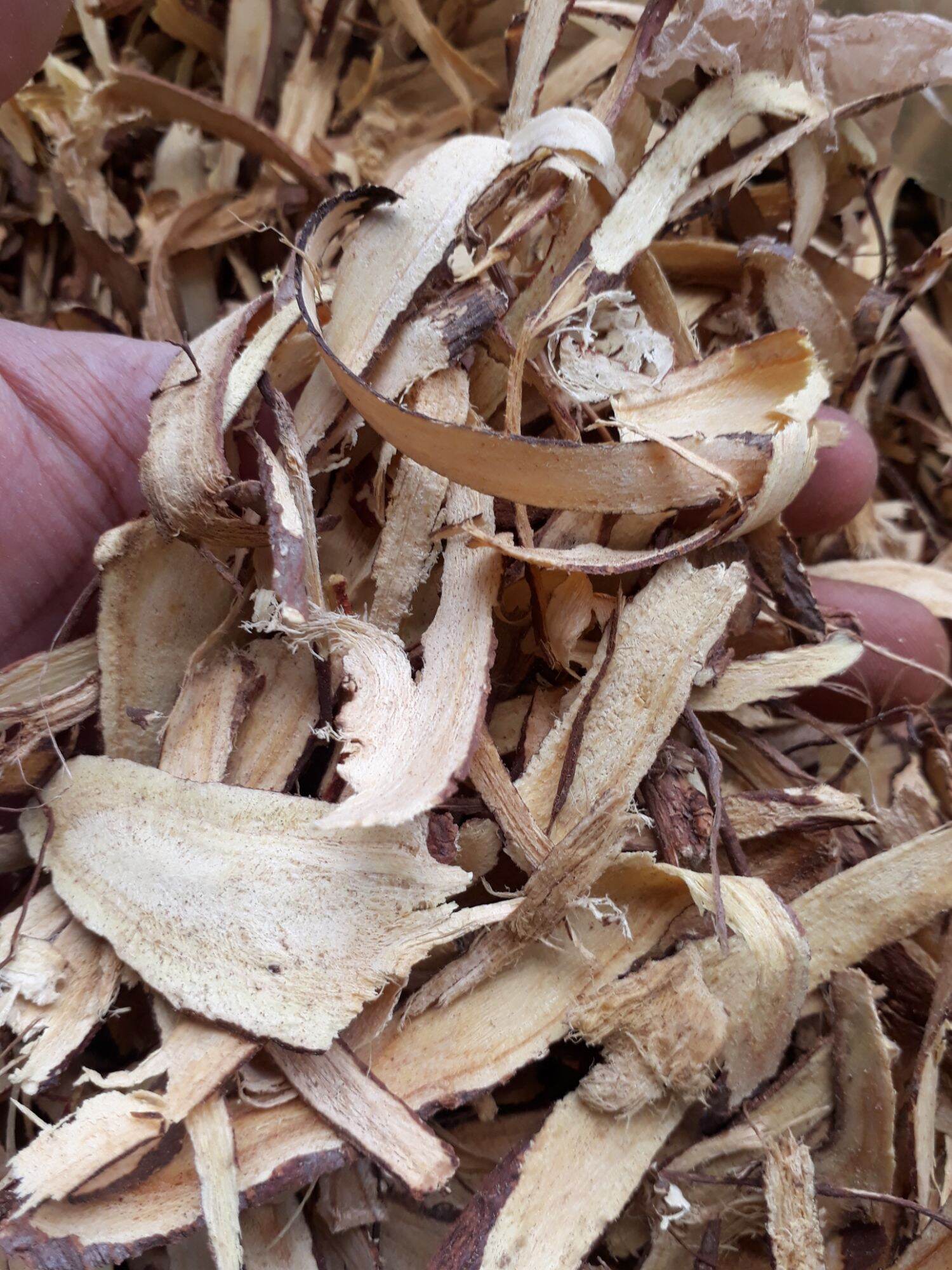 100gr Cam thảo khô