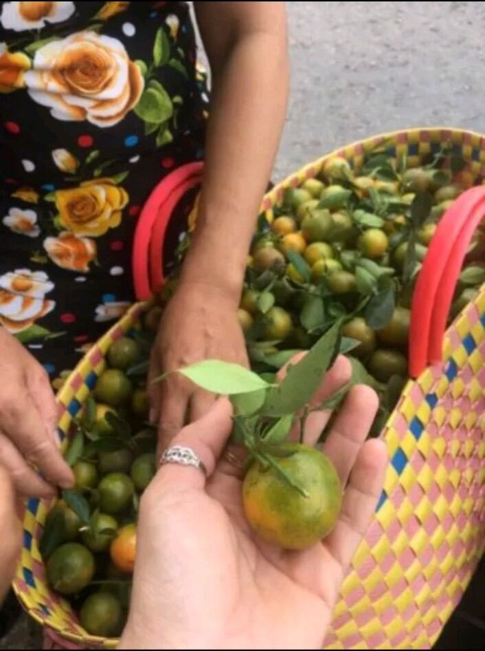 1kg tắc xí mụi nhà làm THƠM NGON