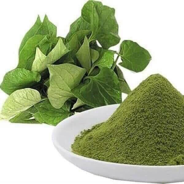 Bột diếp cá sấy lạnh nguyên chất 500g