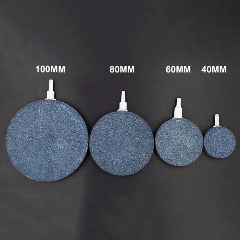 Sủi Đĩa Siêu Mịn 4cm Hồ Cá Thủy Sinh