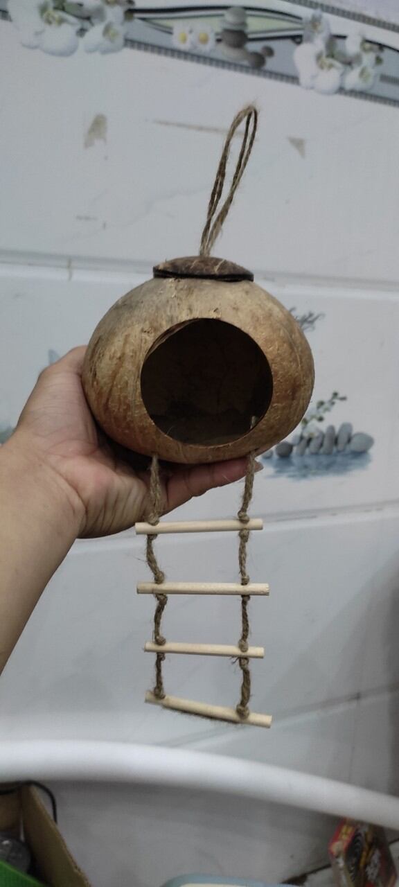 Tổ Gáo Dừa có Thang - đã đánh bóng