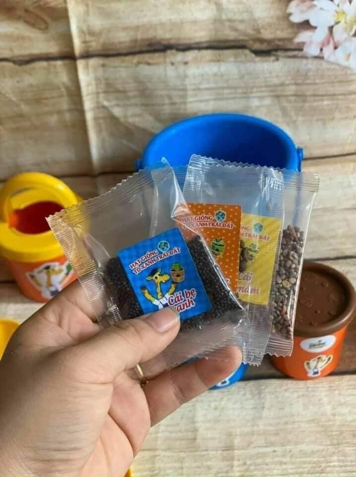 Bộ đồ chơi trồng cây cho bé (Hạt giống thật)