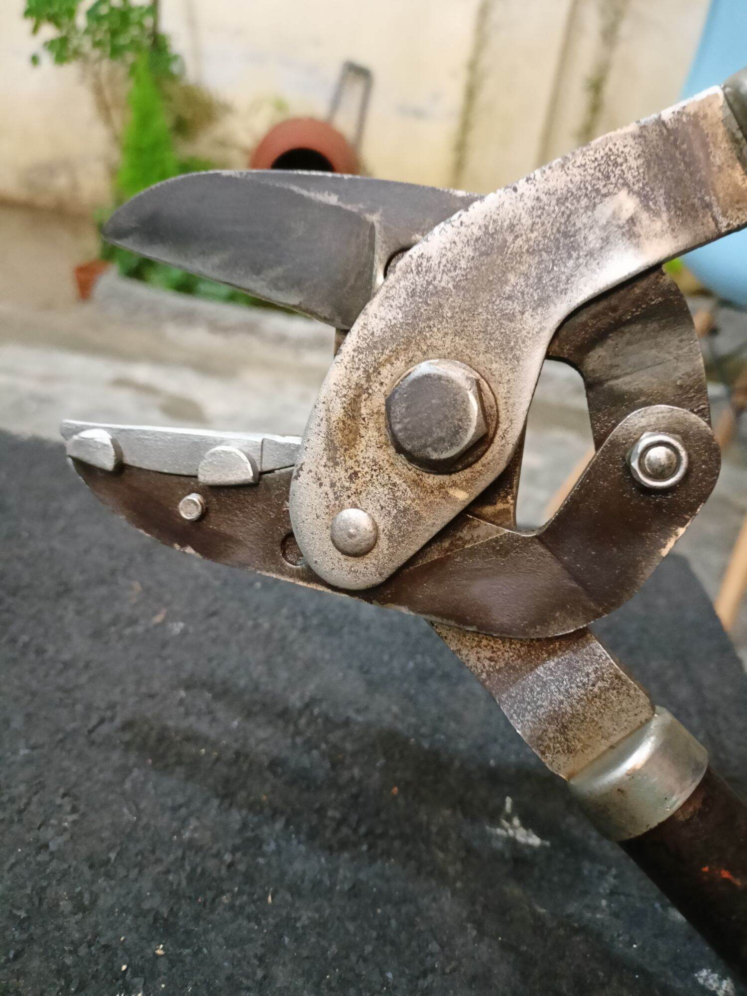 Kéo cắt cành 1 lưỡi hàng Nhật Bãi