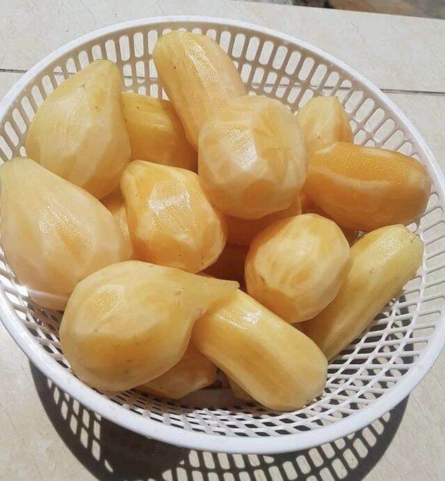 Sâm đất y tý lào cai 1kg