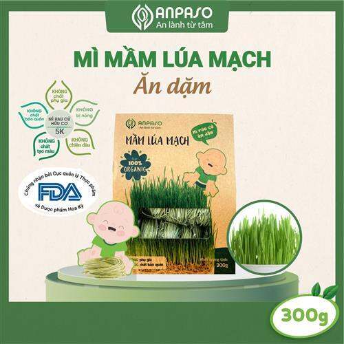 Mì mầm lúa mạch ăn dặm organic Anpaso 300gr