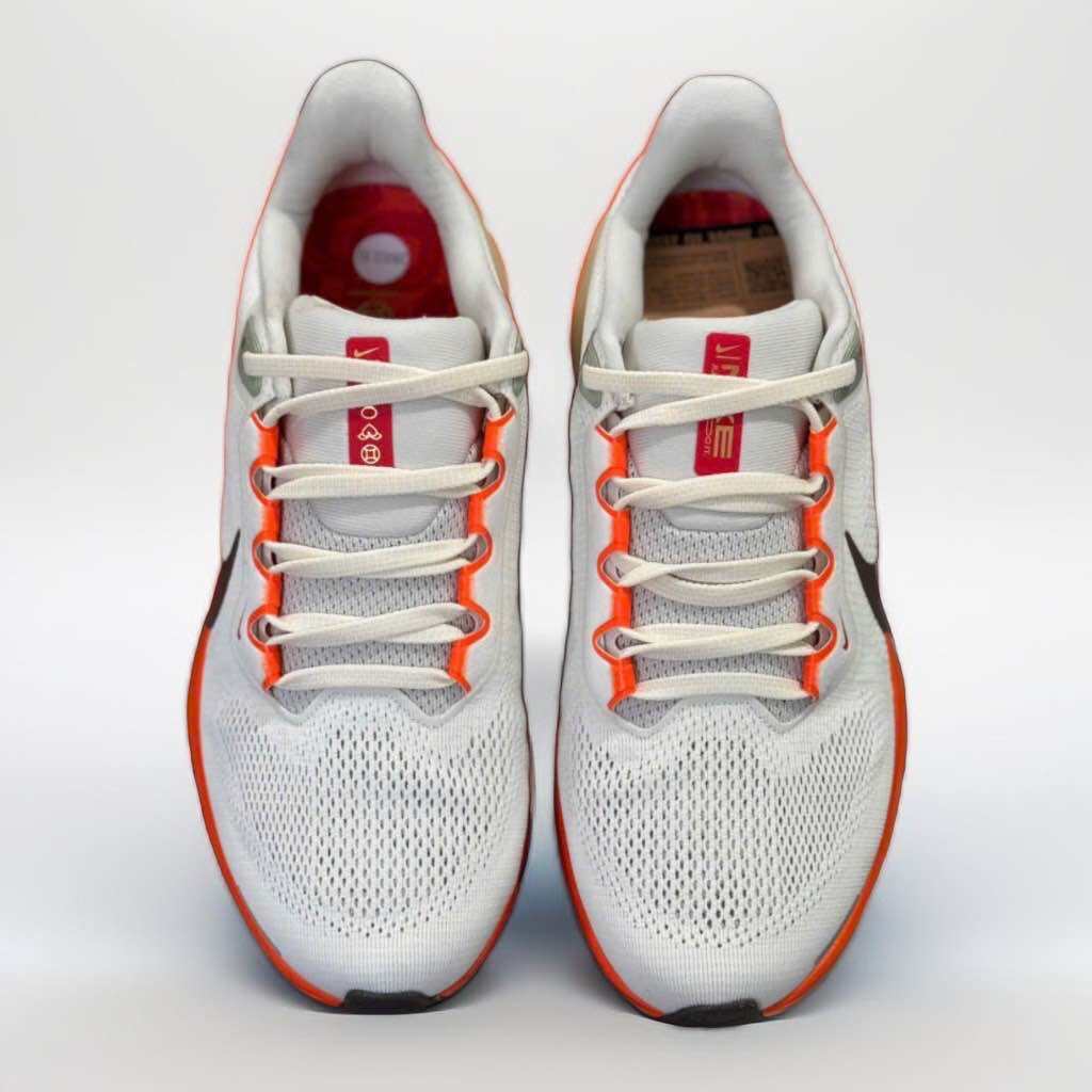 Giày Nike Air Zoom Pegasus 41. 