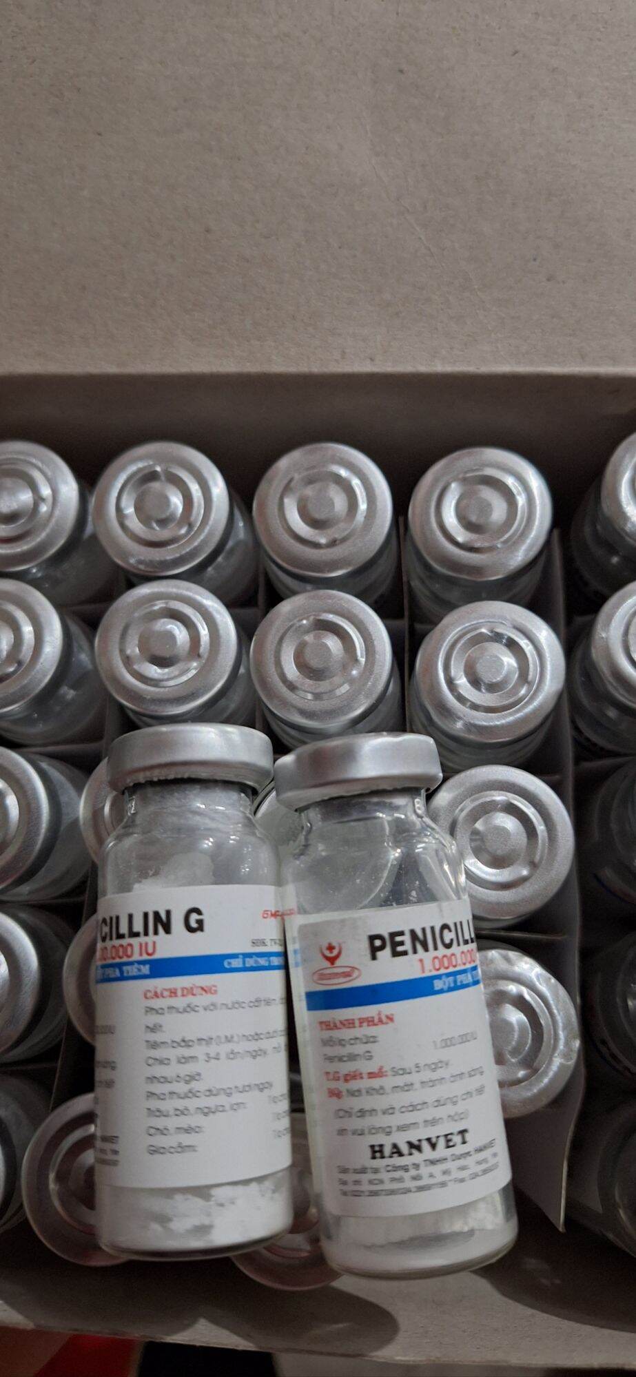 Penicillin G pha tiêm của hanvet ( 1 hộp/50 lọ)