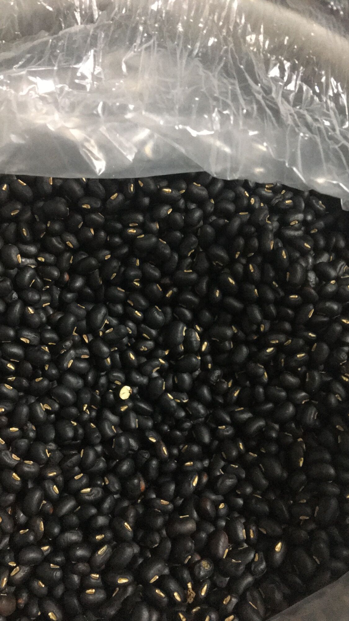 Đậu đen xanh lòng 500g