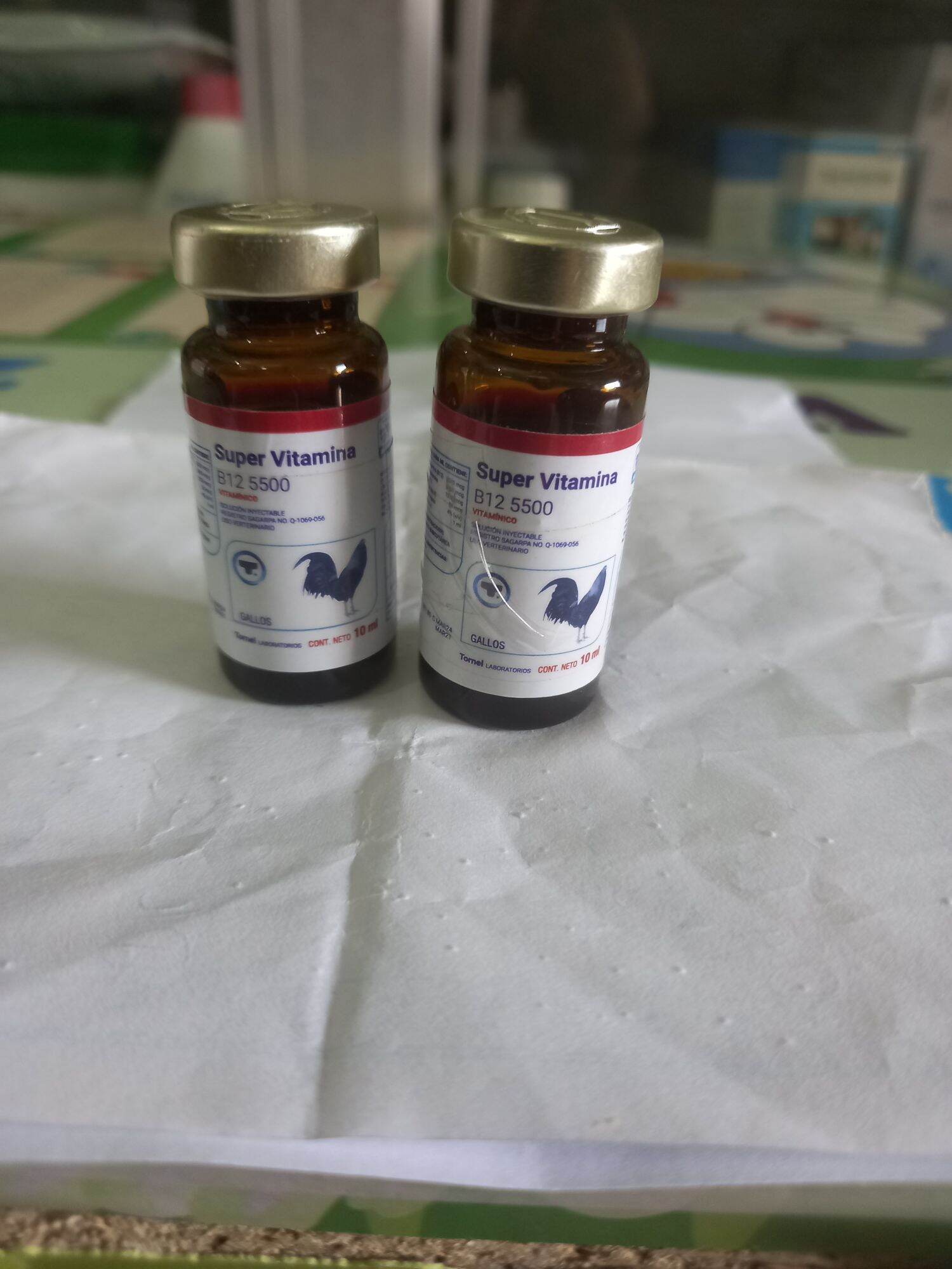B12 5500,Mexico, Lọ 10cc, Tăng Lực Gà Đá