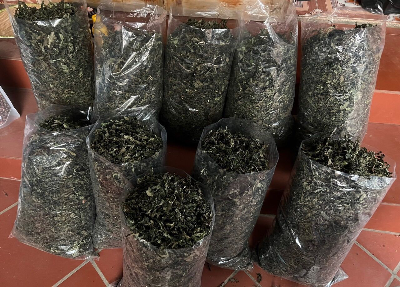 Lá Đắng ( Lá Cơm Kìa Rừng Tây Bắc ) Túi 500Gr