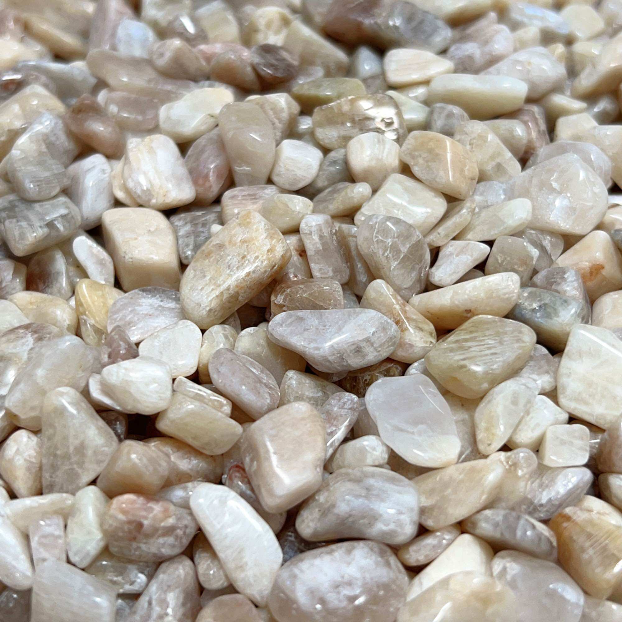 100g Vụn đá Moonstone - Đá mặt trăng tự nhiên