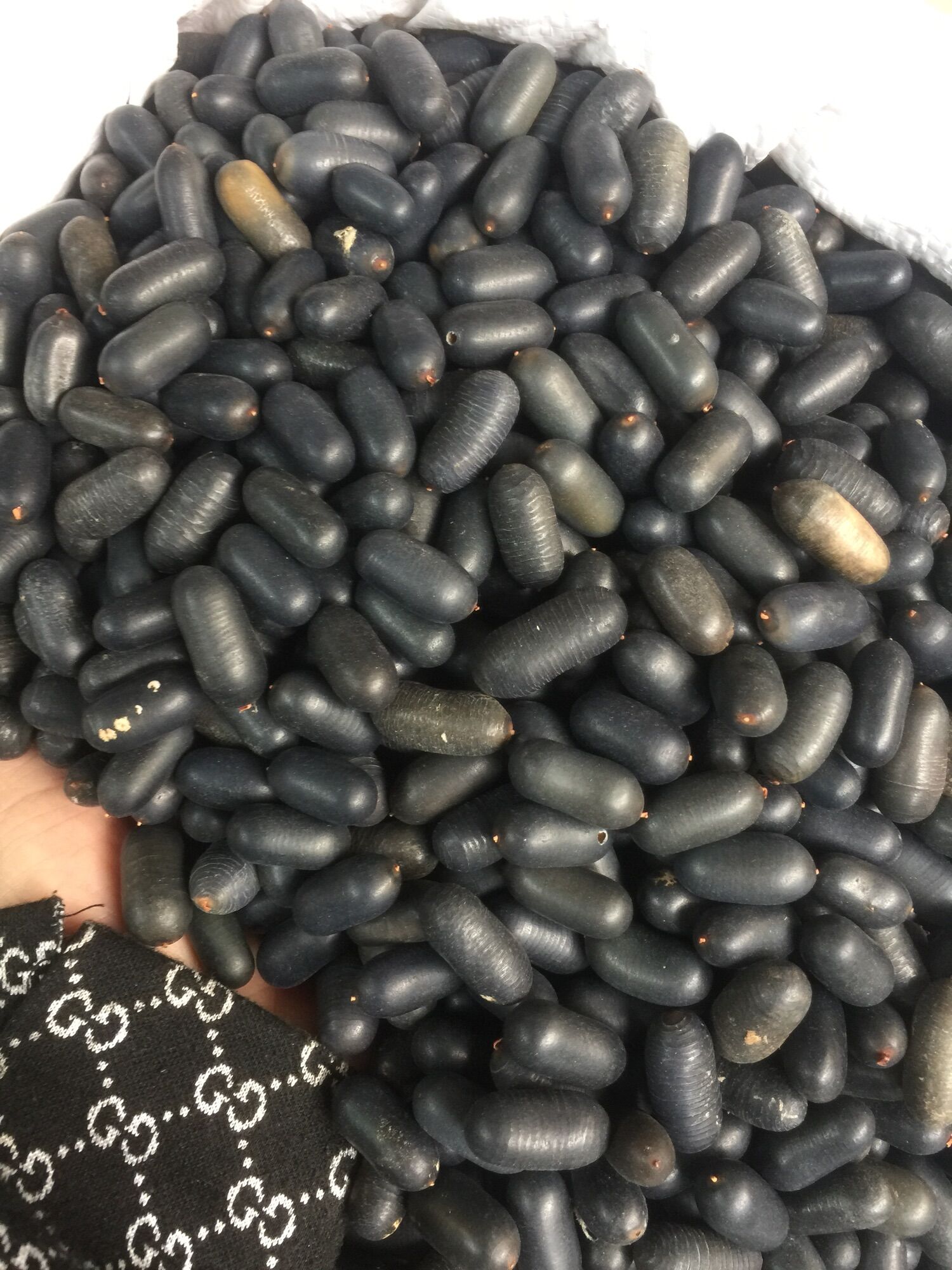 Hạt lạc rừng (hạt dạ dầy)