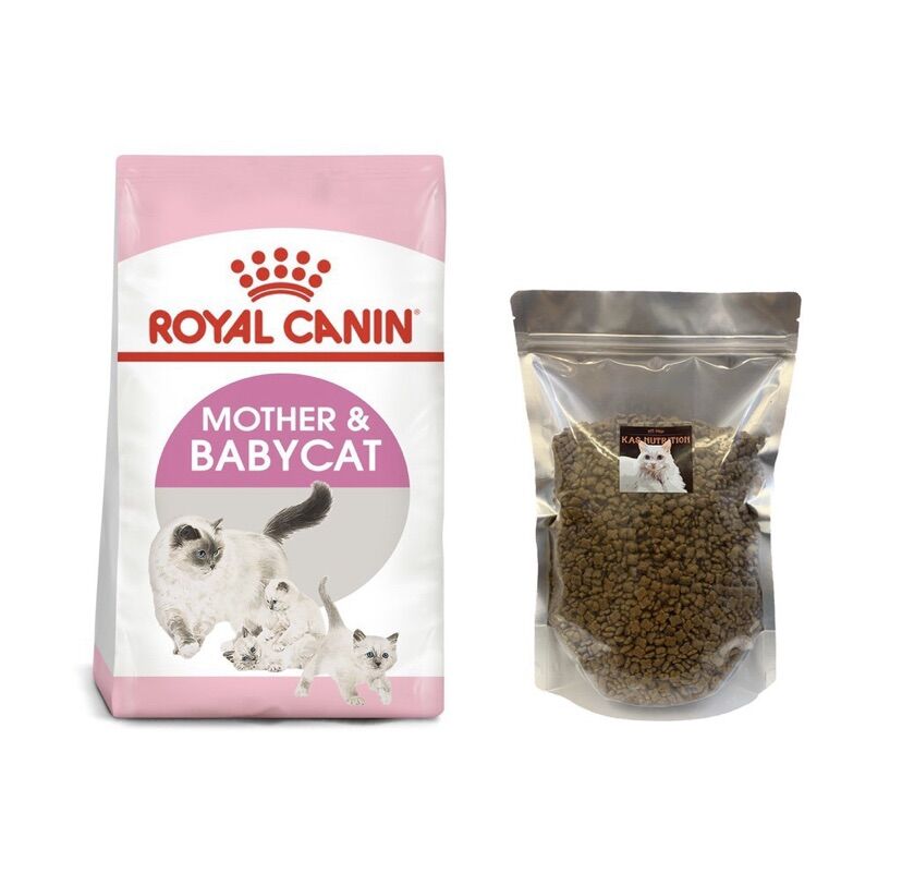 Thức ăn cho Mèo Royal Canin Mother&Baby
