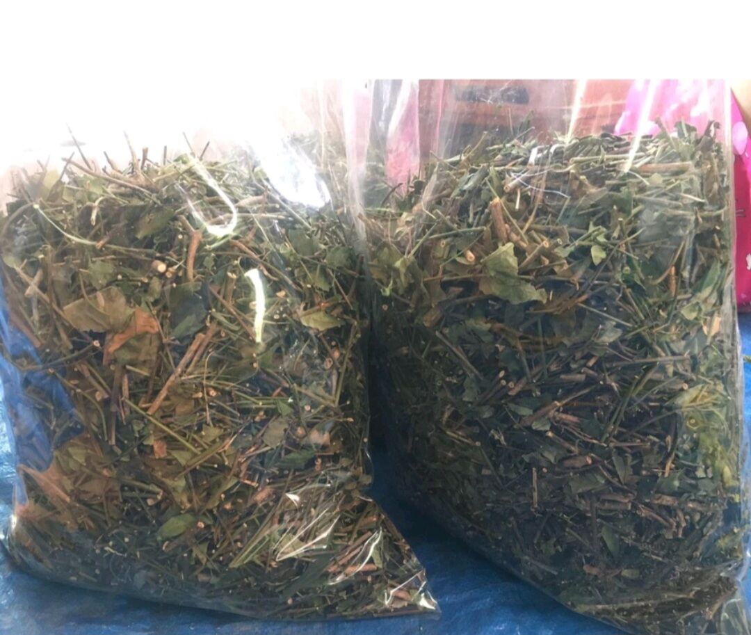 1Kg chè vằng sẻ giảm cân lợi sữa