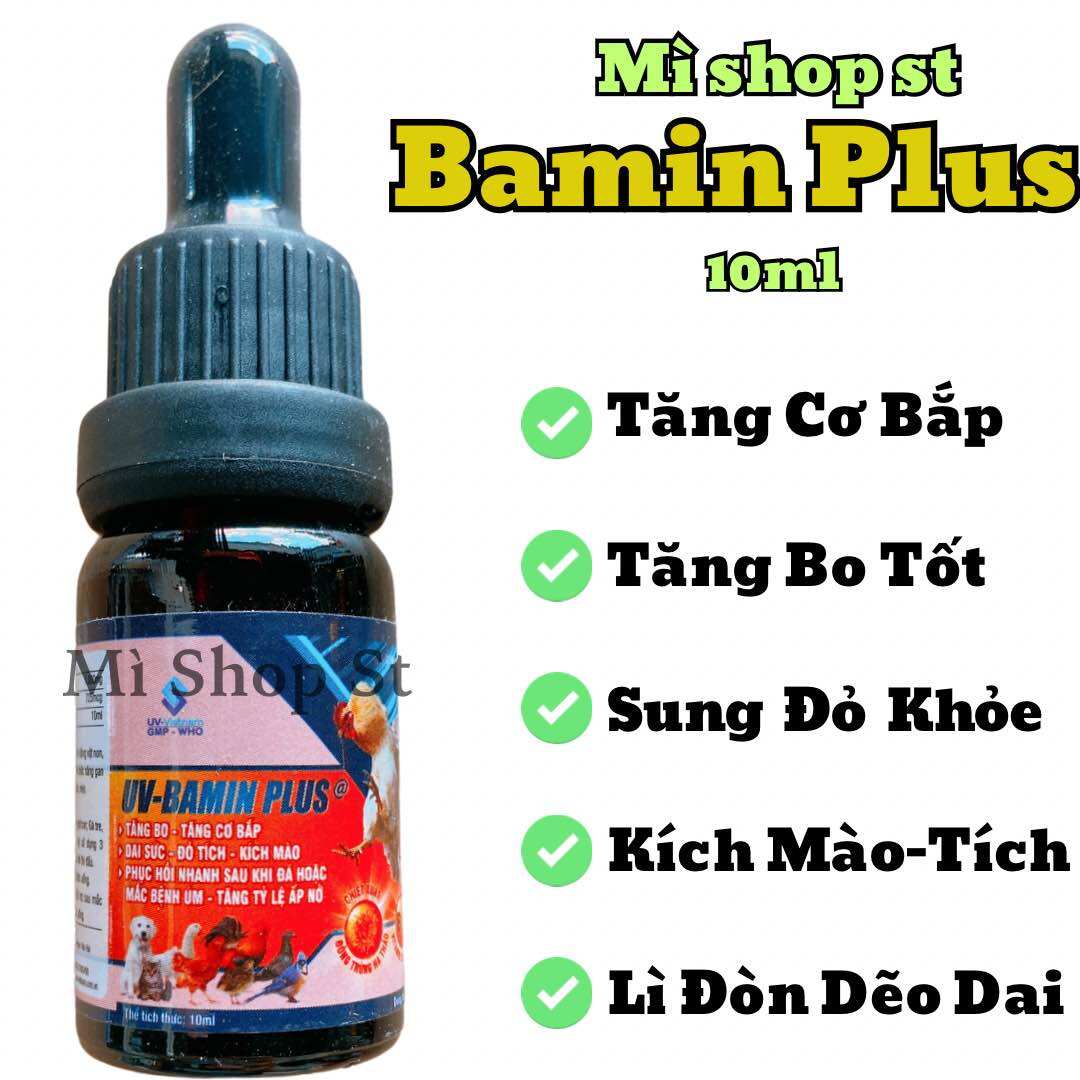Bamin plus tăng lực, tăng cơ, tăng bo, lì đòn cho gà đá