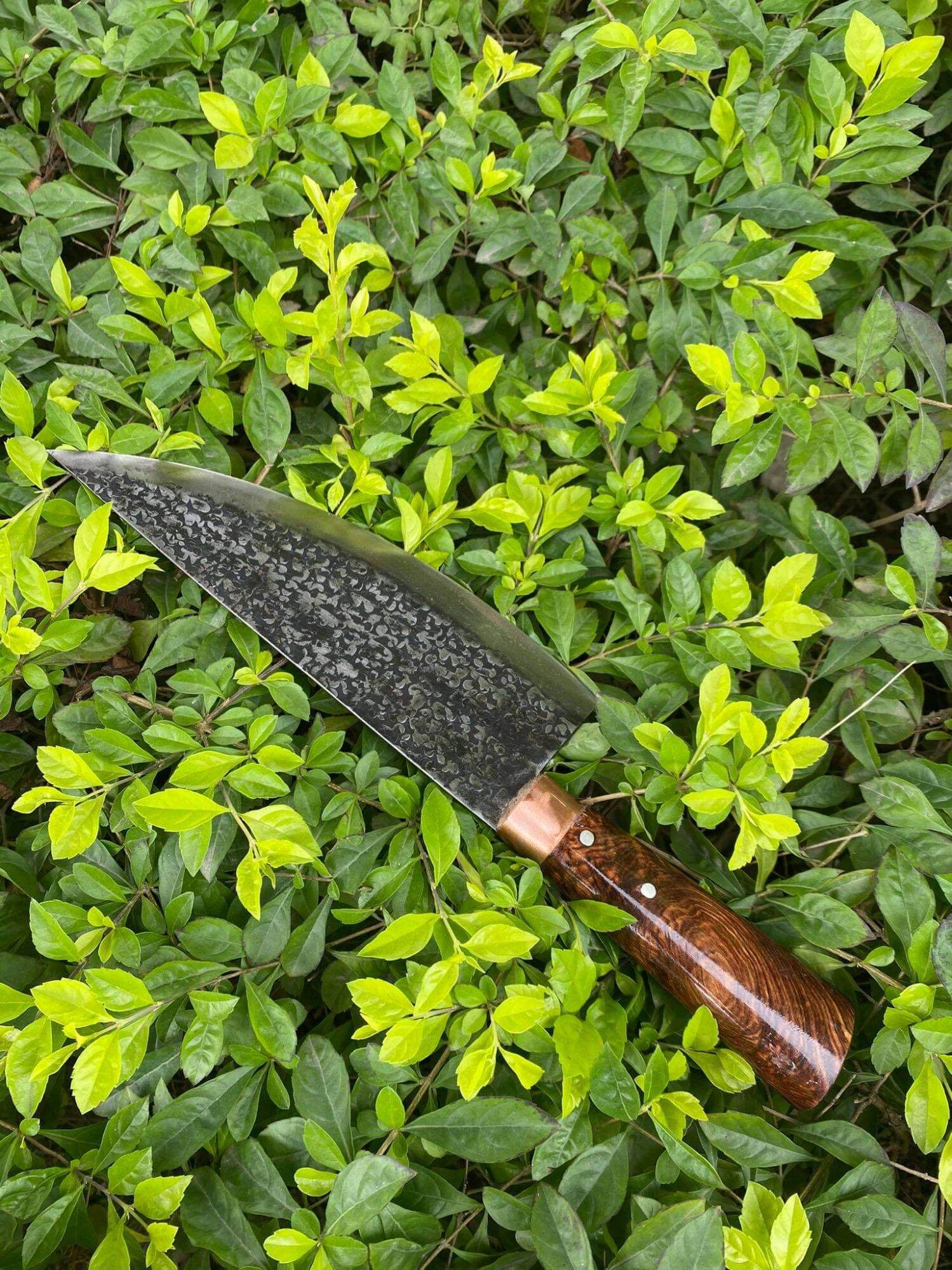 Dao bầu lọc - dao phúc sen