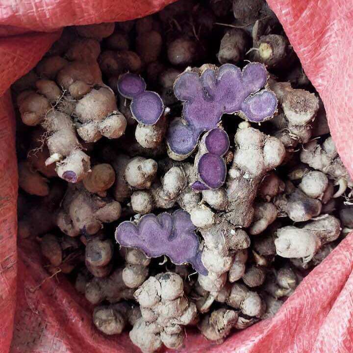 Gừng Đen tươi 1kg loại mọc ơ rưng tự nhiên