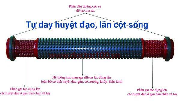 Con lăn cột sống Doctor100 tiêu chuẩn ( không nhiệt)