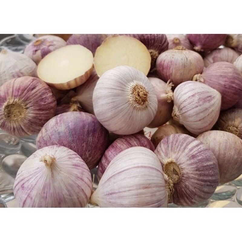 Tỏi cô đơn 1kg
