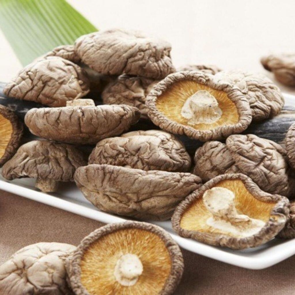 Nấm Đông Cô , Nấm Hương Gói 1kg  Đặc Sản Vùng Tây Bắc , SaPa , Hàng chất