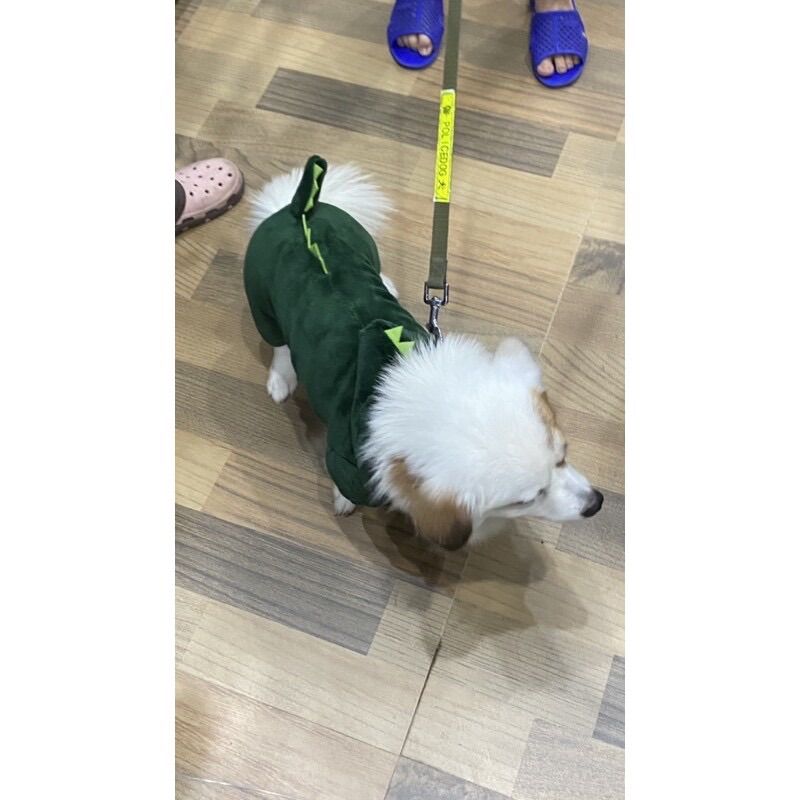 Bộ quần áo khủng long cho chó mèo