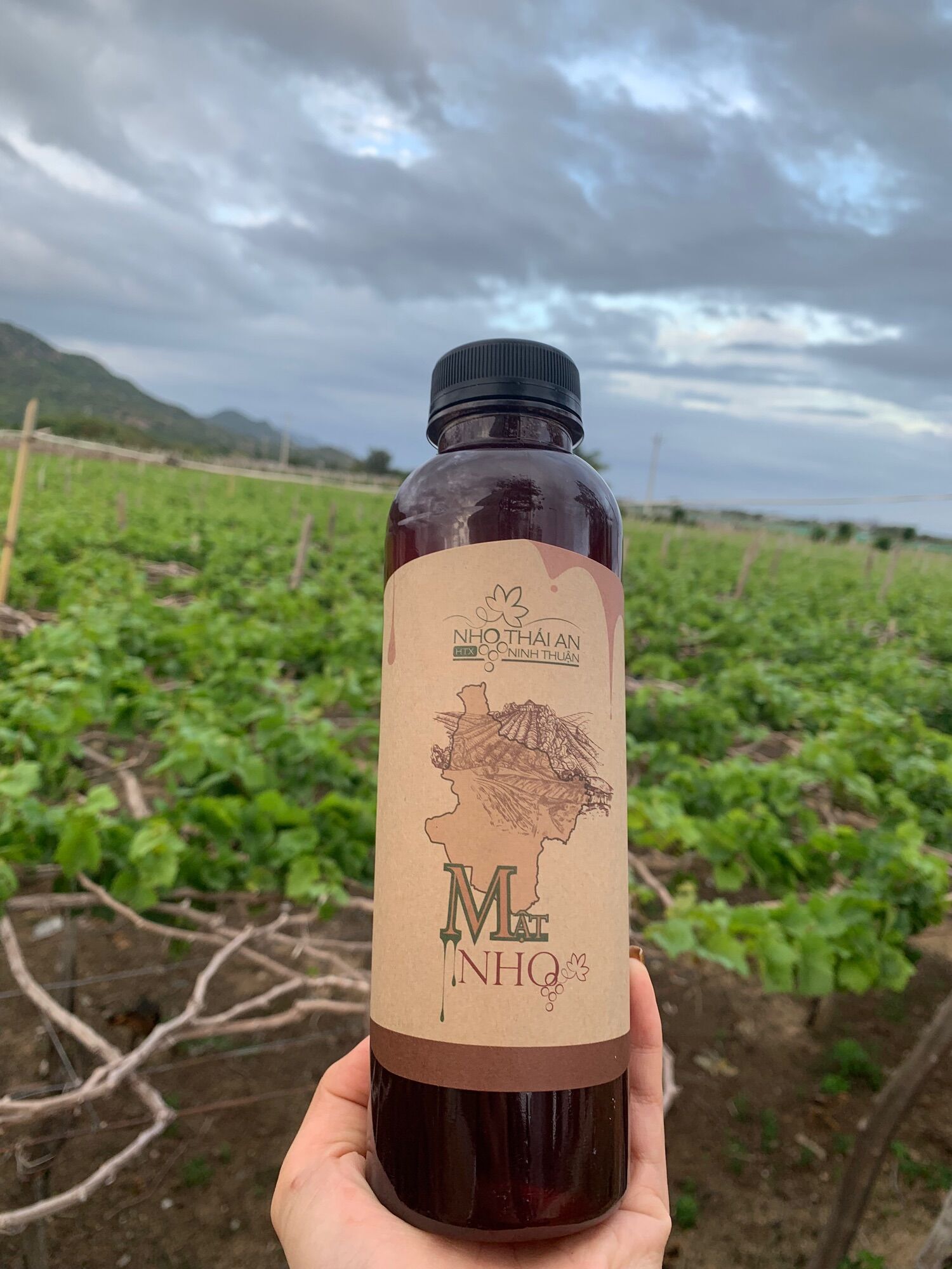 MẬT NHO THÁI AN PHAN RANG NINH THUẬN LOẠI 0.5L