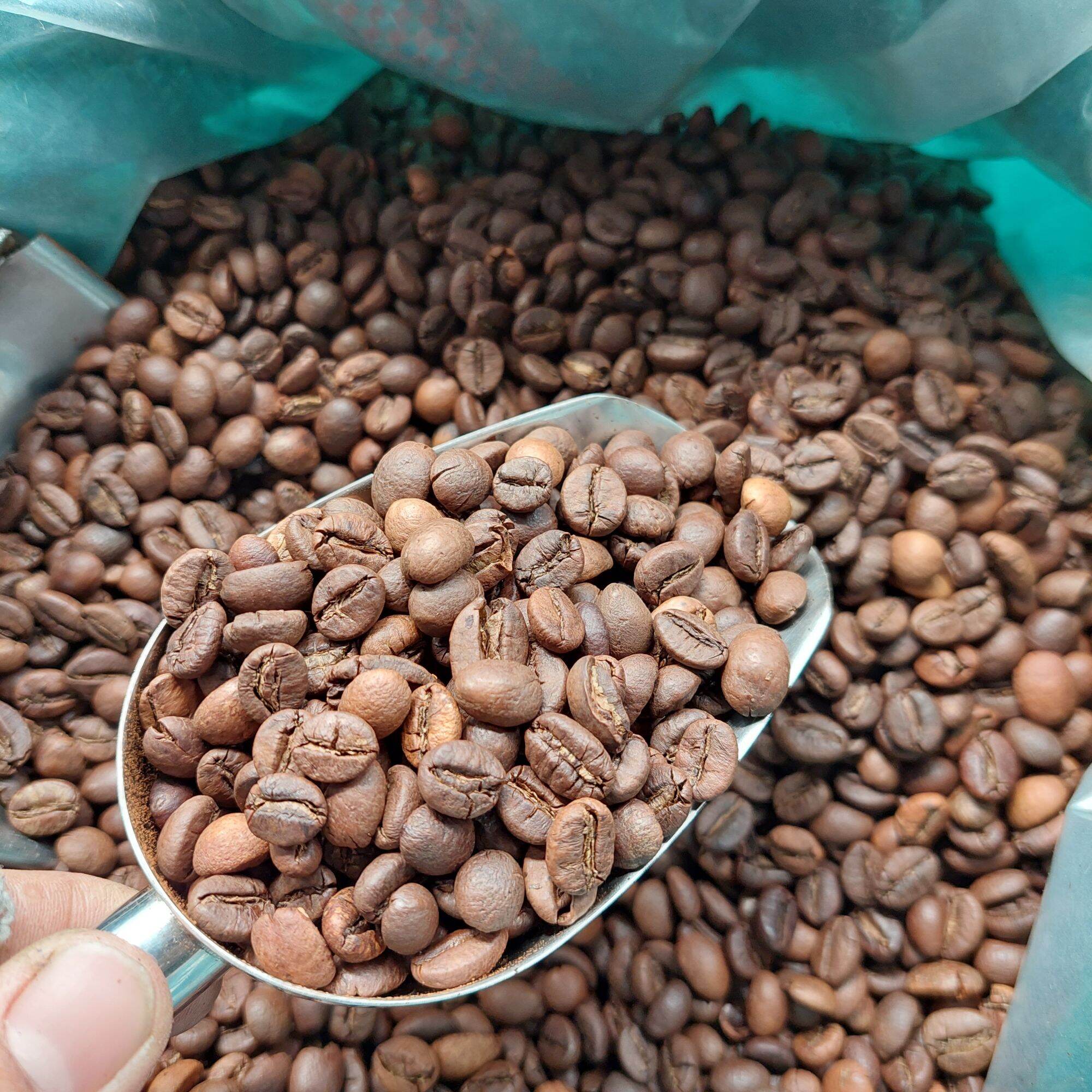 Cafe Robusta rang mộc Ban Mê Thuột chuyên pha máy 500g