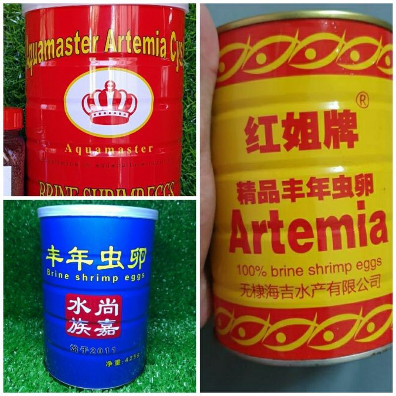 10 gram artemia ấp nở lon xanh vàng đỏ thức ăn cho cá cảnh