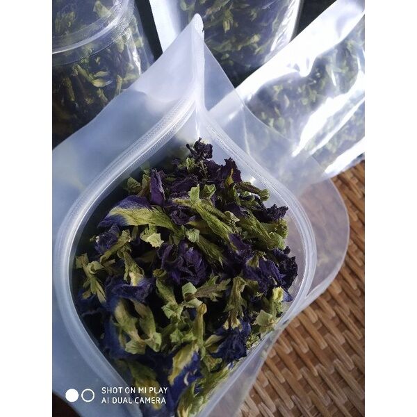hoa đậu biếc nhà trồng gói 100g