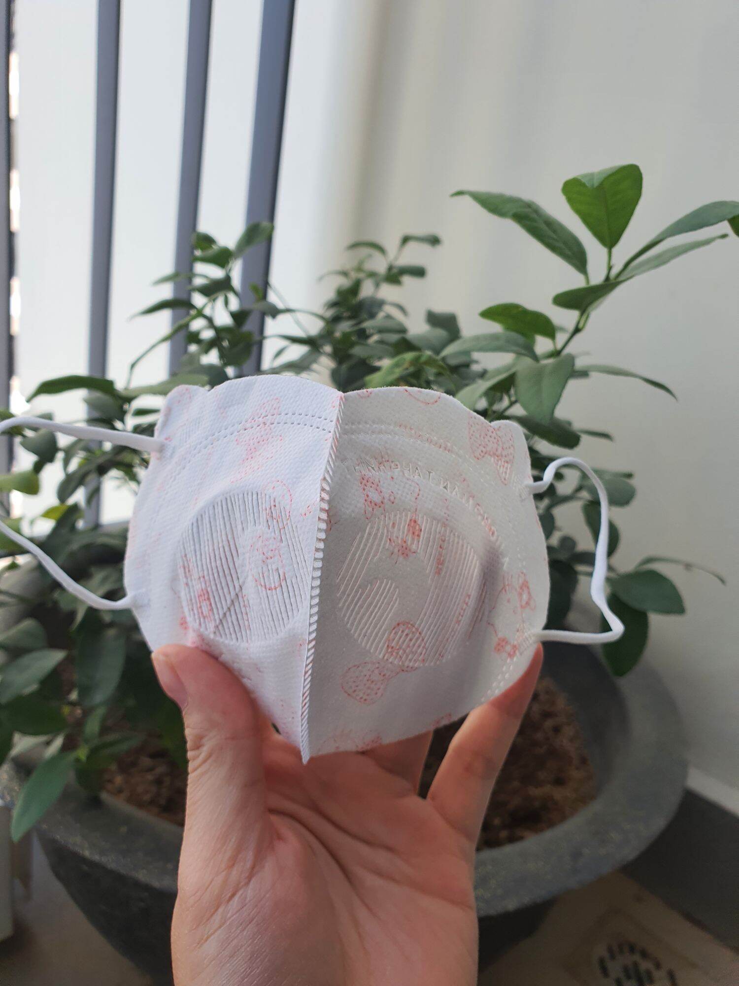 Set 10 chiếc khẩu trang Mầm chồi lá Thịnh Phát cho bé yêu